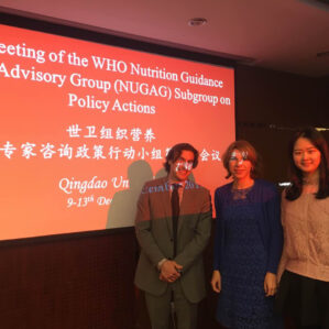 Professor Sun at the Second Meeting of the World Health Organization (WHO) Nutrition Guidance Expert Advisory Group (NUGAG) Subgroup on Policy Actions