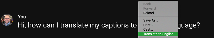 Screenshot of Google Meet Caption area