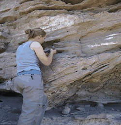Summer 2005: Bekah Ost and Jesse Thompson Provenance of the basal fluvial conglomerate of the Tertiary Madison Valley Formation