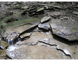 Deformation of the Appalachian Plateau
