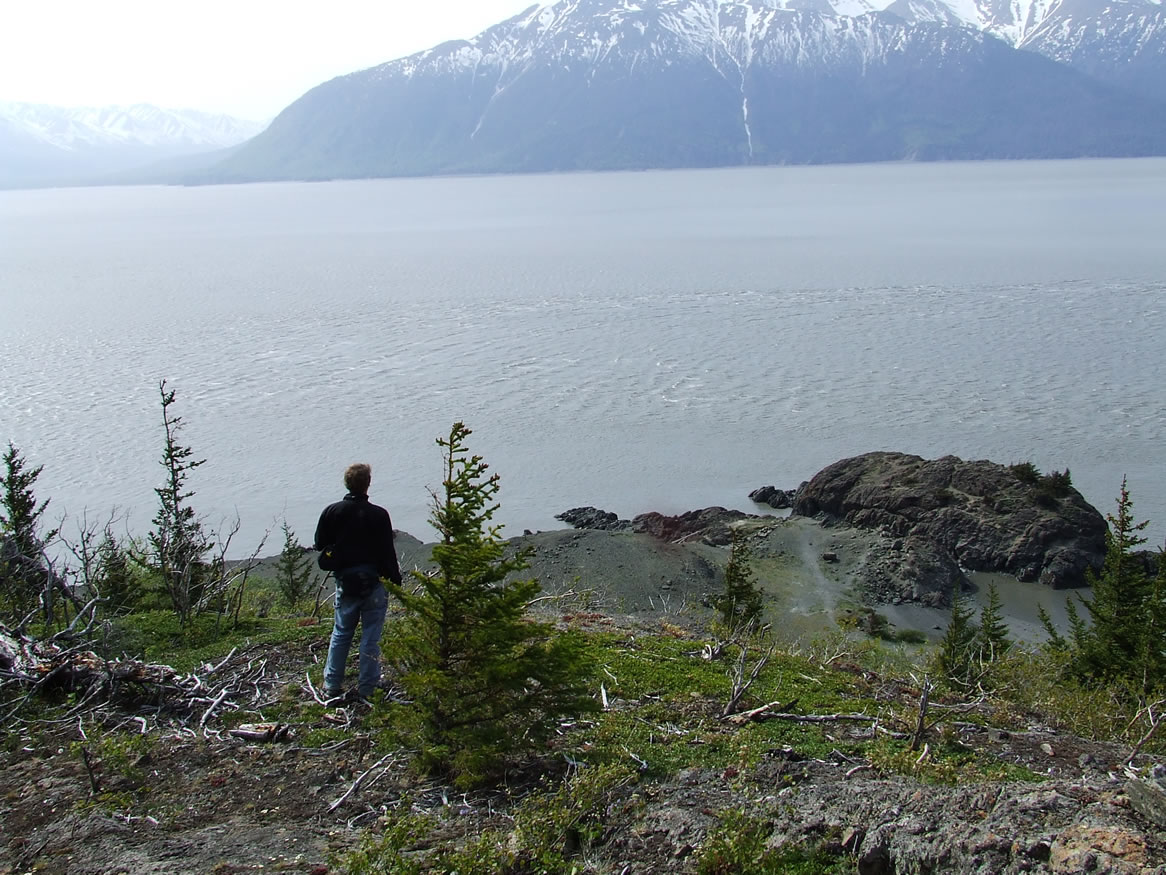 View from the top of the north side of the Beluga Point outcrop