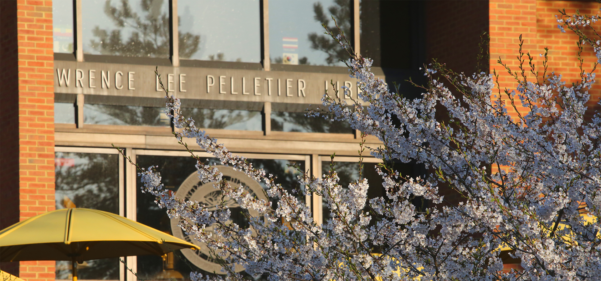 Exterior view of Pelletier Library in spring