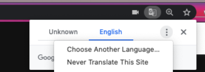 Screenshot of Google Translate dialog box