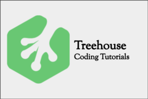Team Treehouse