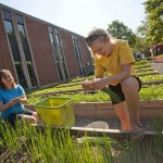 Read full story: Sierra Club Again Counts Allegheny College Among America’s “Coolest Schools”