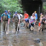 Read full story: Area Students to Learn about Freshwater Ecology at Allegheny College’s Creek Camp