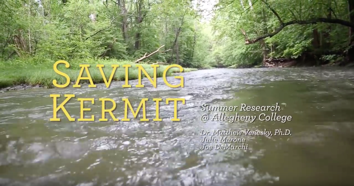 Saving Allegheny Green by Lori Wilde
