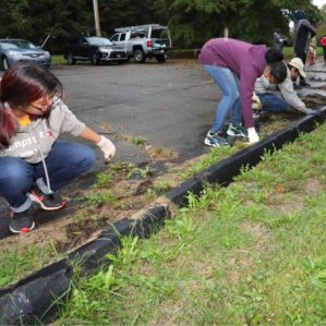 Students pull weeds from a parking lot during Make a Difference Day