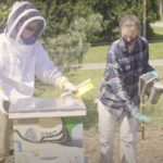 Read full story: Video: Beehives on Campus — Senior Comp Stories