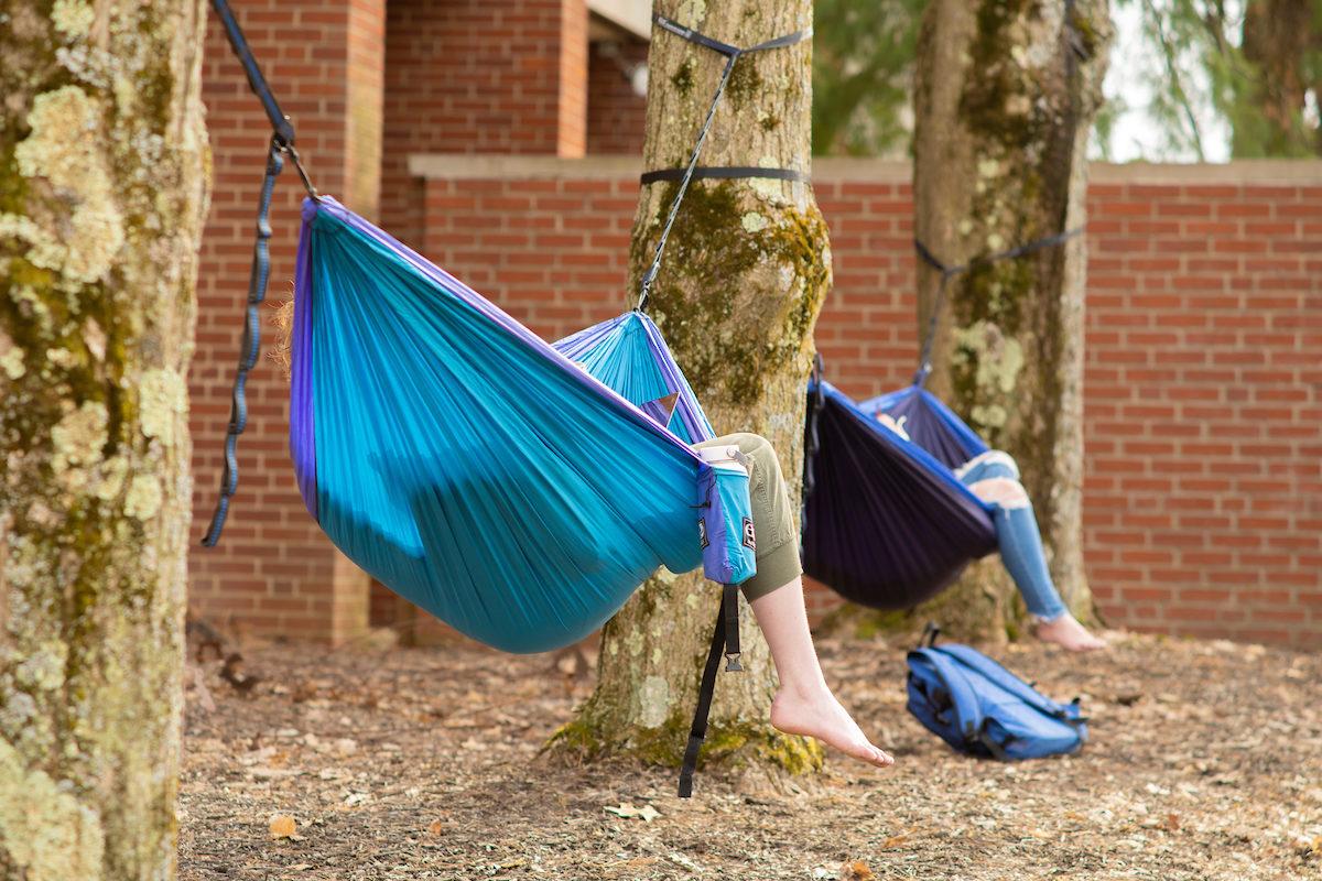 Students relaxing on hammocks