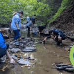 Read full story: MWEE Partner of Excellence Award Honors Allegheny College’s Creek Connections Program