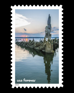 Stamp Print Bordered 2