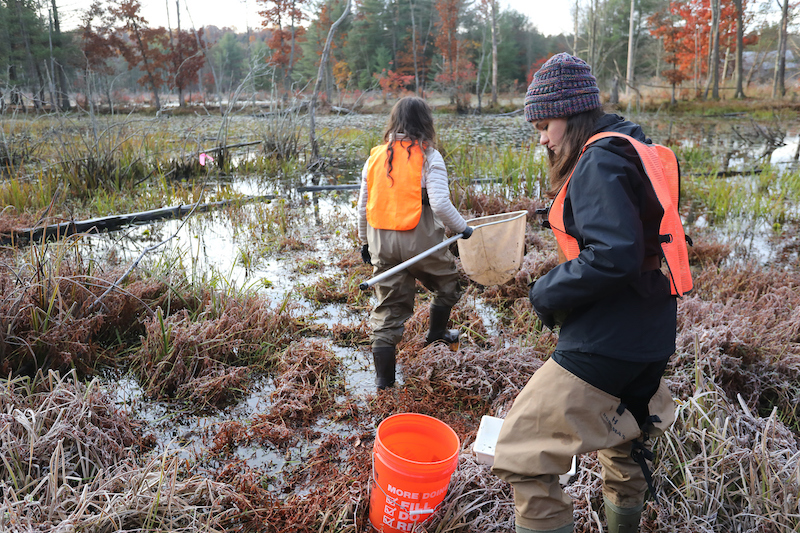 two people conducting research in a marsh