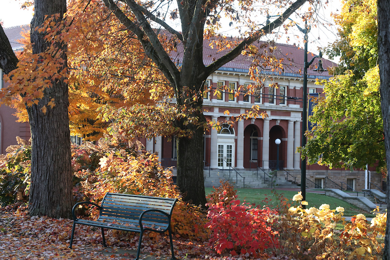 autumn leaves and trees and a bench in the foreground with a columned building in the background
