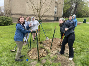 Students planting a replacement tree during Arbor Day 2023.