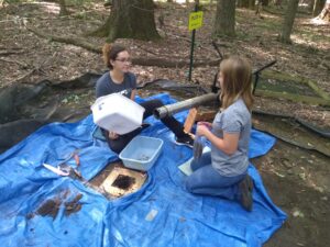 Kaitlyn Royal '24 and Katie Brozell '23 using a diamond-tipped soil corer to extract soil samples at Bousson