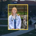 Read full story: Allegheny Graduate Studies Veterinary Medicine At The University Of Pennsylvania