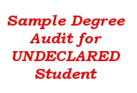 Sample Degree Audit for Undeclared Student (red)
